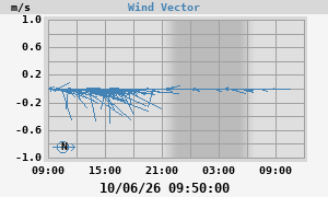 Wind Vector
